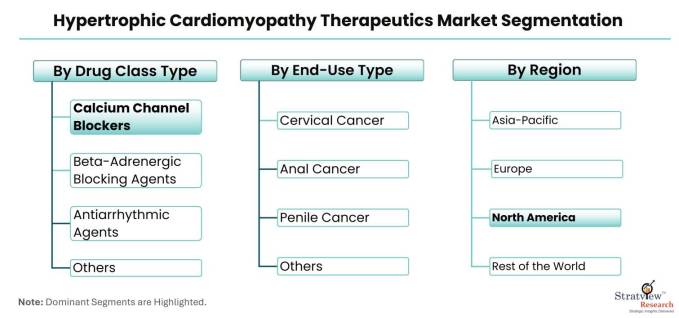 Hypertrophic-Cardiomyopathy-Therapeutics-Market-Segmentation